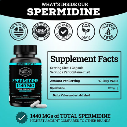 Spermidine Supplement 1440mg – 99% Pure, 4 Months Supply for Cellular Health