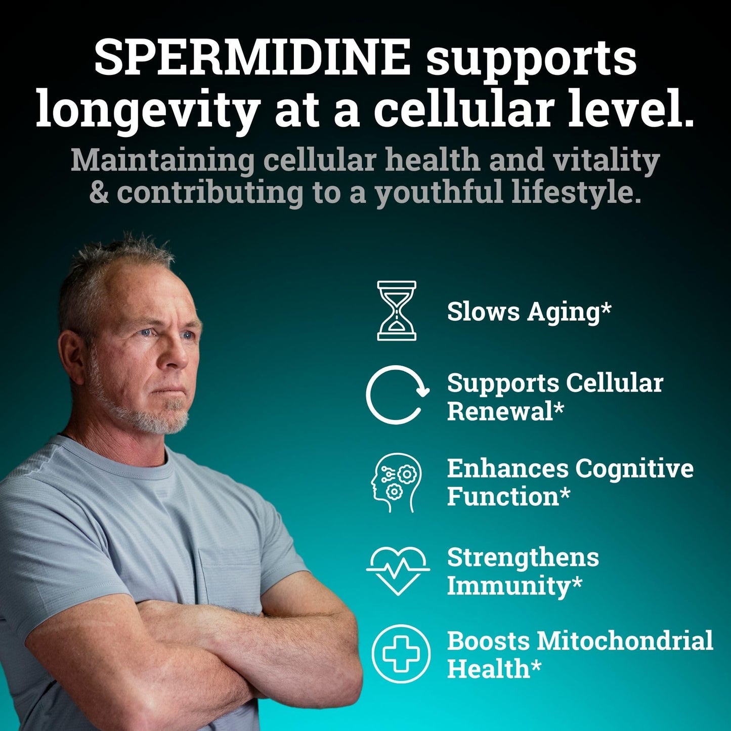 Spermidine Supplement 1440mg – 99% Pure, 4 Months Supply for Cellular Health
