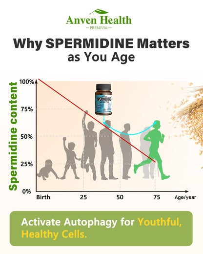 Spermidine & Fisetin Supplement – 20mg Spermidine, 300mg Fisetin | 90 Veggie Caps | Made in USA