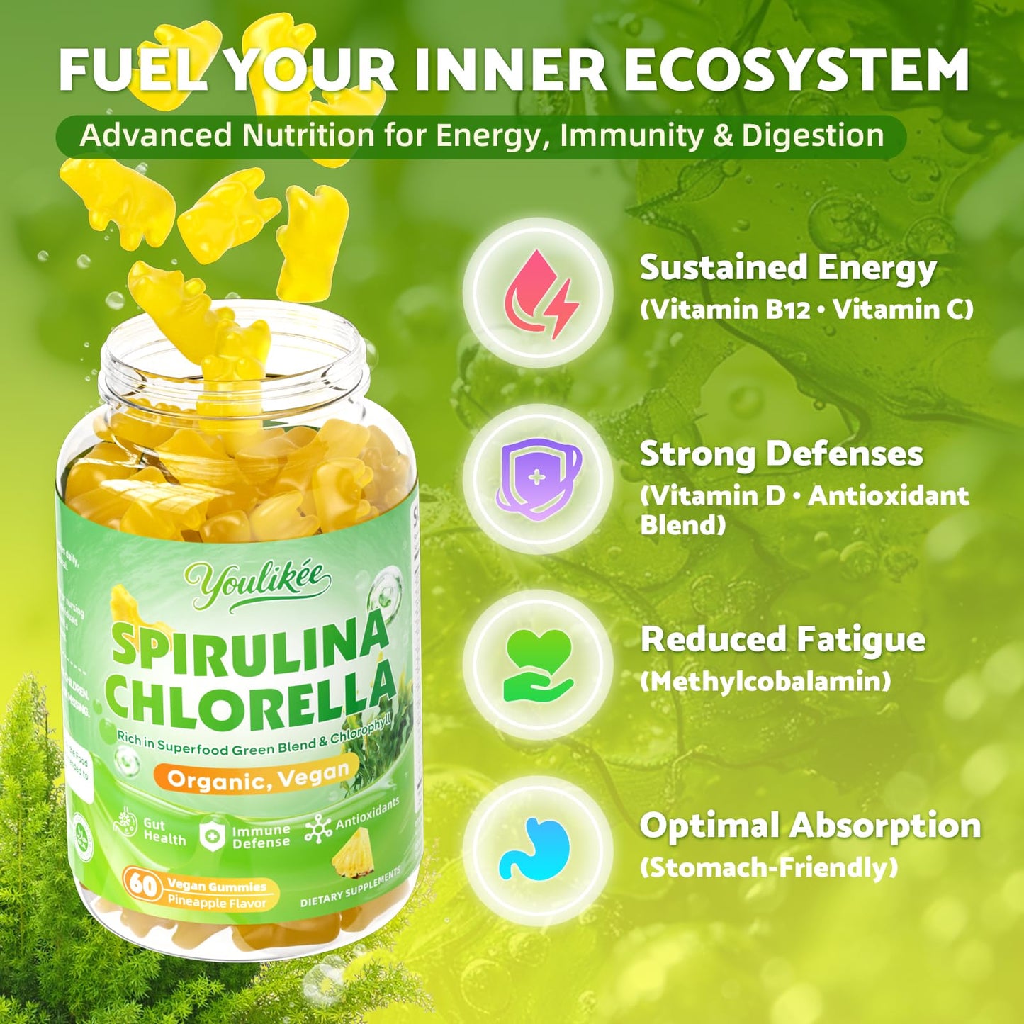 2 Pack Organic Spirulina & Chlorella Gummies – Pineapple Flavor, Vitamin C & Zinc