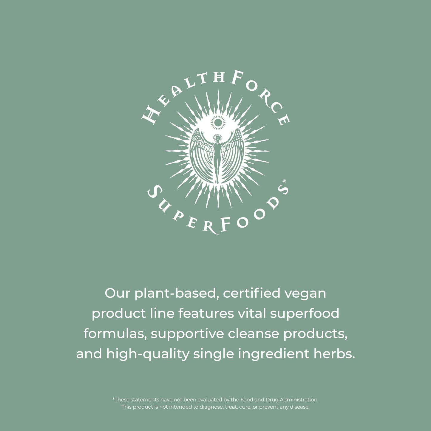 HealthForce SuperFoods Spirulina Manna - Tablet - 400 Vegan Tablets
