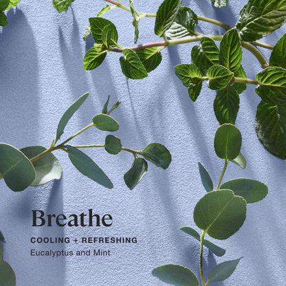 Sprig by Kohler Breathe Aromatherapy Candle – Eucalyptus & Mint, 8 oz