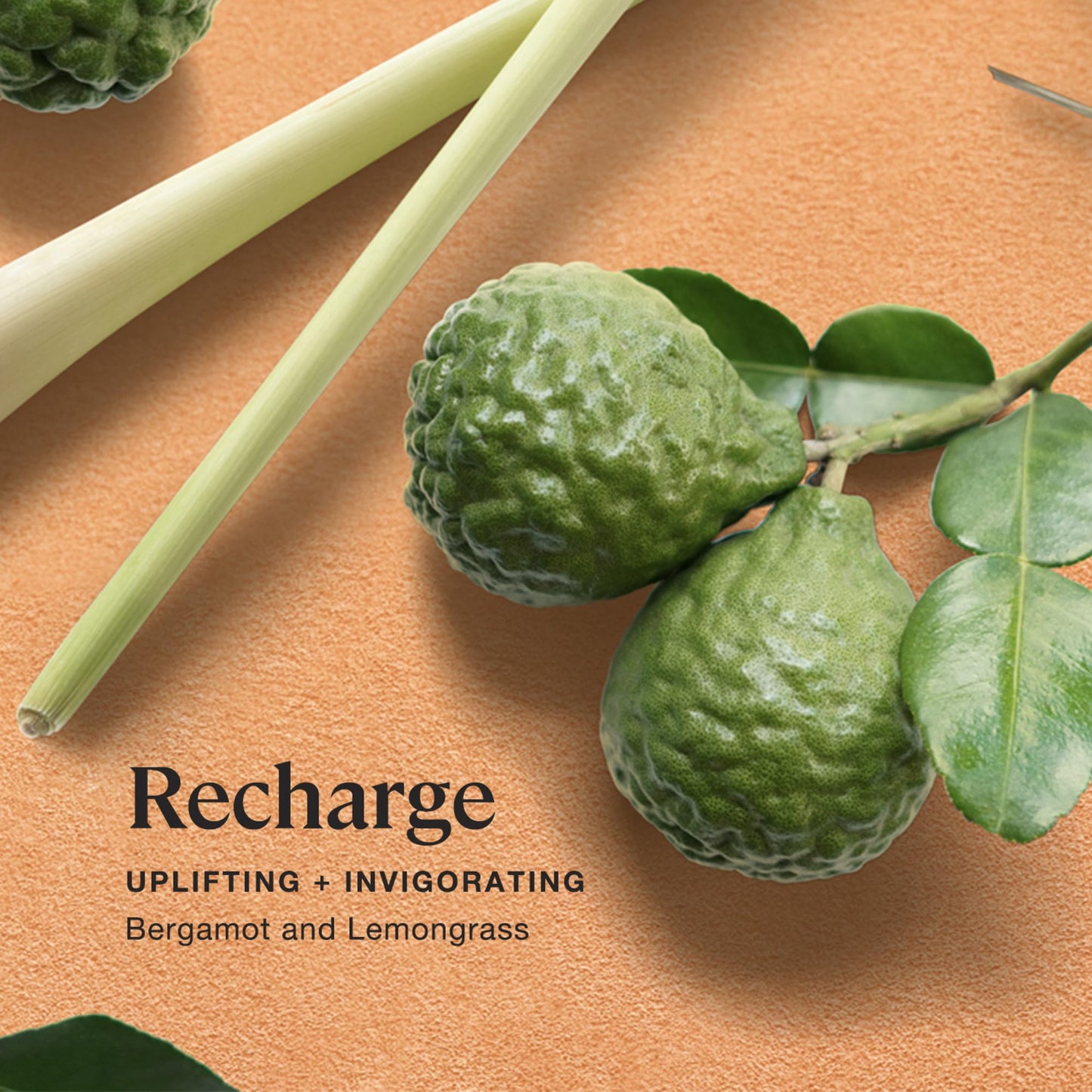 Sprig by Kohler Recharge Aromatherapy Candle – Bergamot & Lemongrass, 8 oz