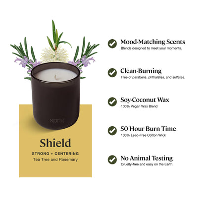 Sprig by Kohler Shield Aromatherapy Candle – Tea Tree & Rosemary, 8 oz, 100% Natural Soy-Coconut Wax