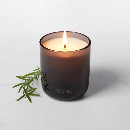 Sprig by Kohler Shield Aromatherapy Candle – Tea Tree & Rosemary, 8 oz, 100% Natural Soy-Coconut Wax
