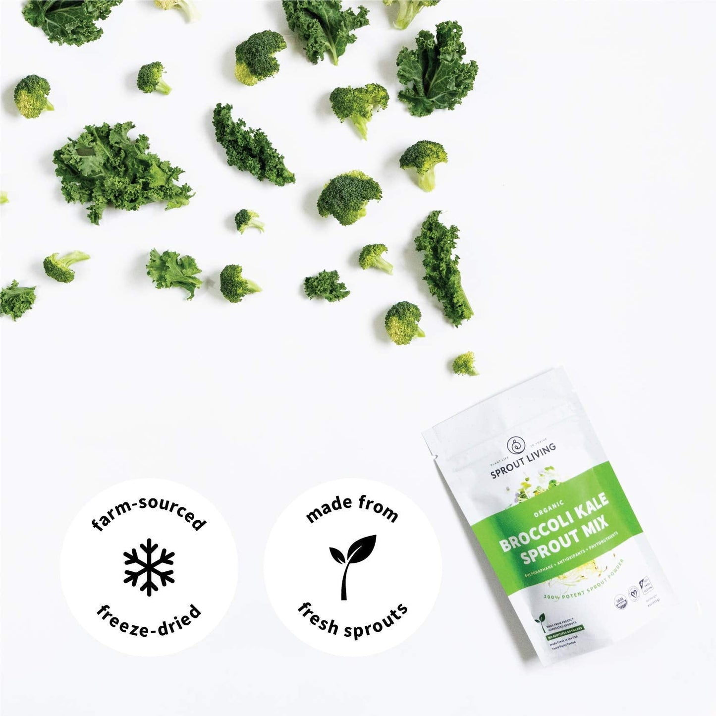 Sprout Living Broccoli & Kale Organic Sprout Mix – Freeze-Dried Green Powder (4 oz, 32 servings)