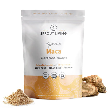 Sprout Living Organic Gelatinized Maca Root Powder 1 lb | Premium Maca Powder for Energy & Adaptogen
