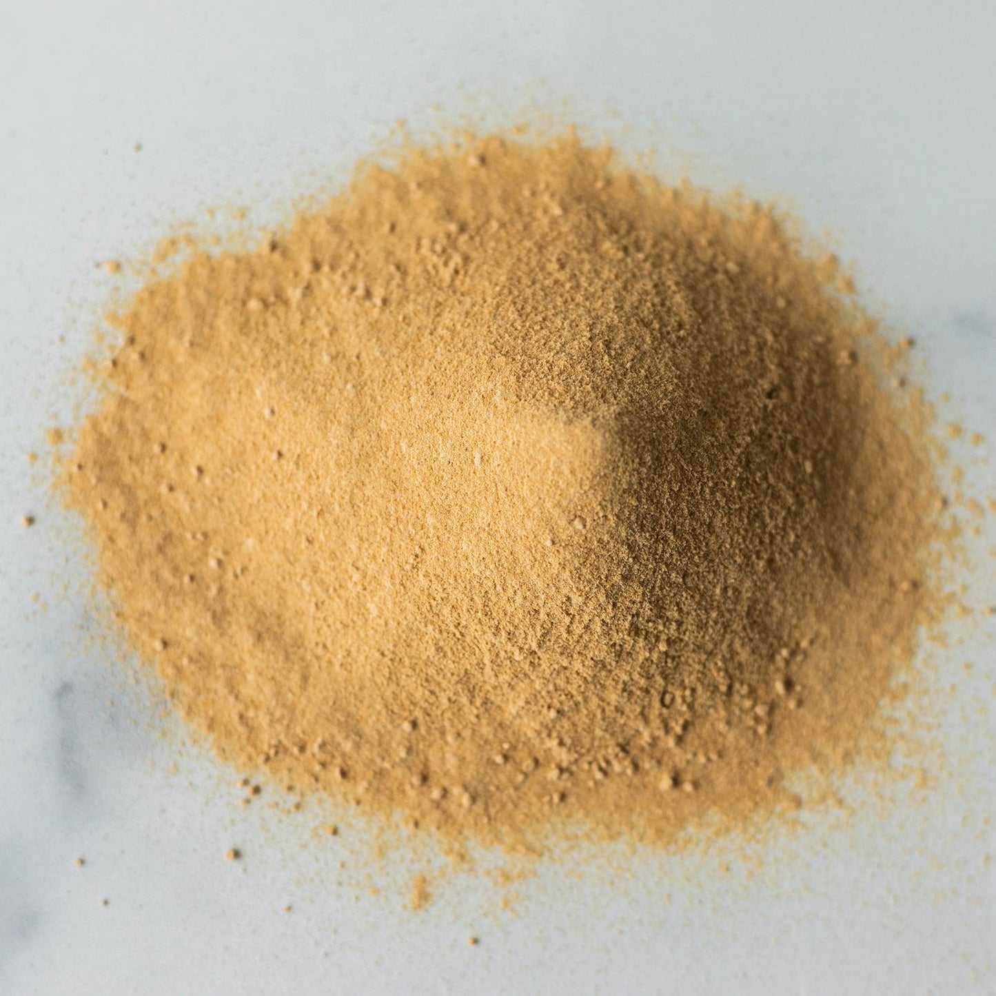 Sprout Living Organic Gelatinized Maca Root Powder 1 lb | Premium Maca Powder for Energy & Adaptogen