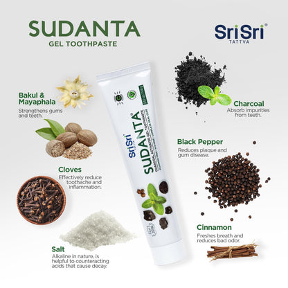 Sri Sri Tattva Sudanta Charcoal Toothpaste Gel – SLS & Fluoride Free Herbal Toothpaste (100g Tube, Pack of 3)