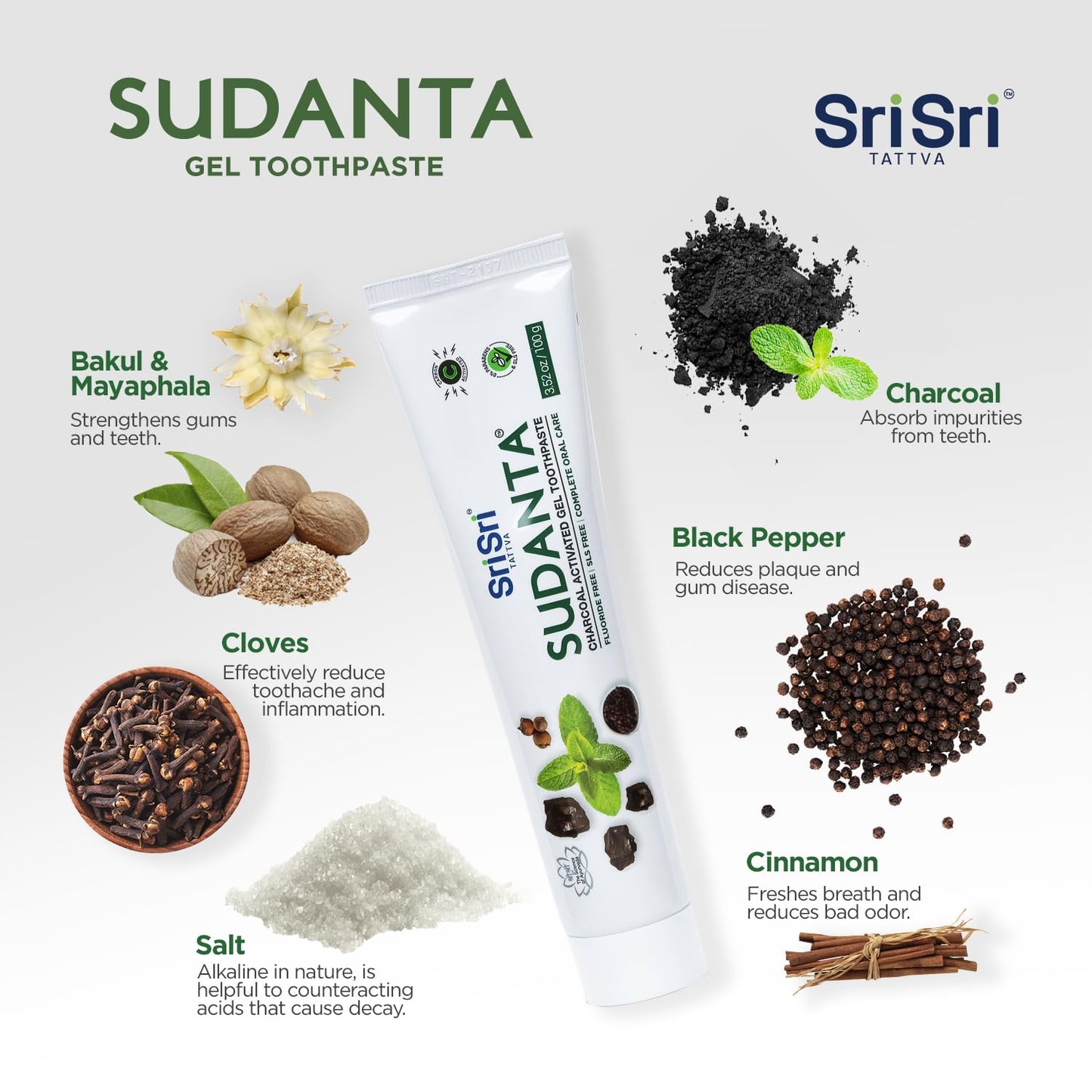 Sri Sri Tattva Sudanta Charcoal Toothpaste Gel – SLS & Fluoride Free, Herbal Neem