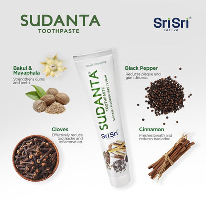 Sri Sri Tattva Sudanta Herbal Toothpaste – SLS Free & Fluoride Free Ayurvedic Toothpaste 200 g (3 Pack)