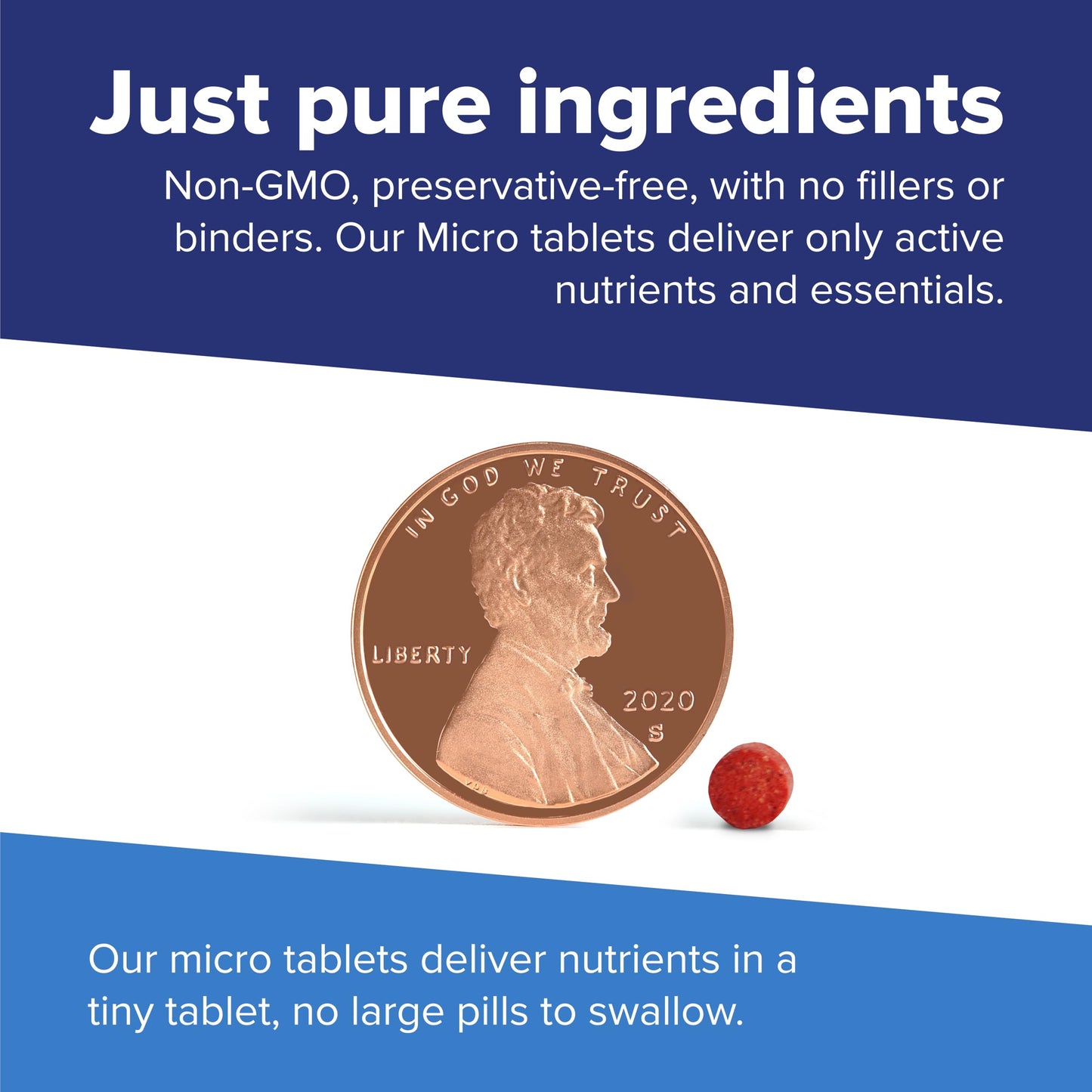 Superior Source No Shot B-12 10000 mcg Sublingual Tablets