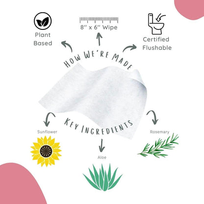 Stall Mates Wipes Feminine Fresh – Flushable, Unscented, PH-Balanced | 30 Travel Singles