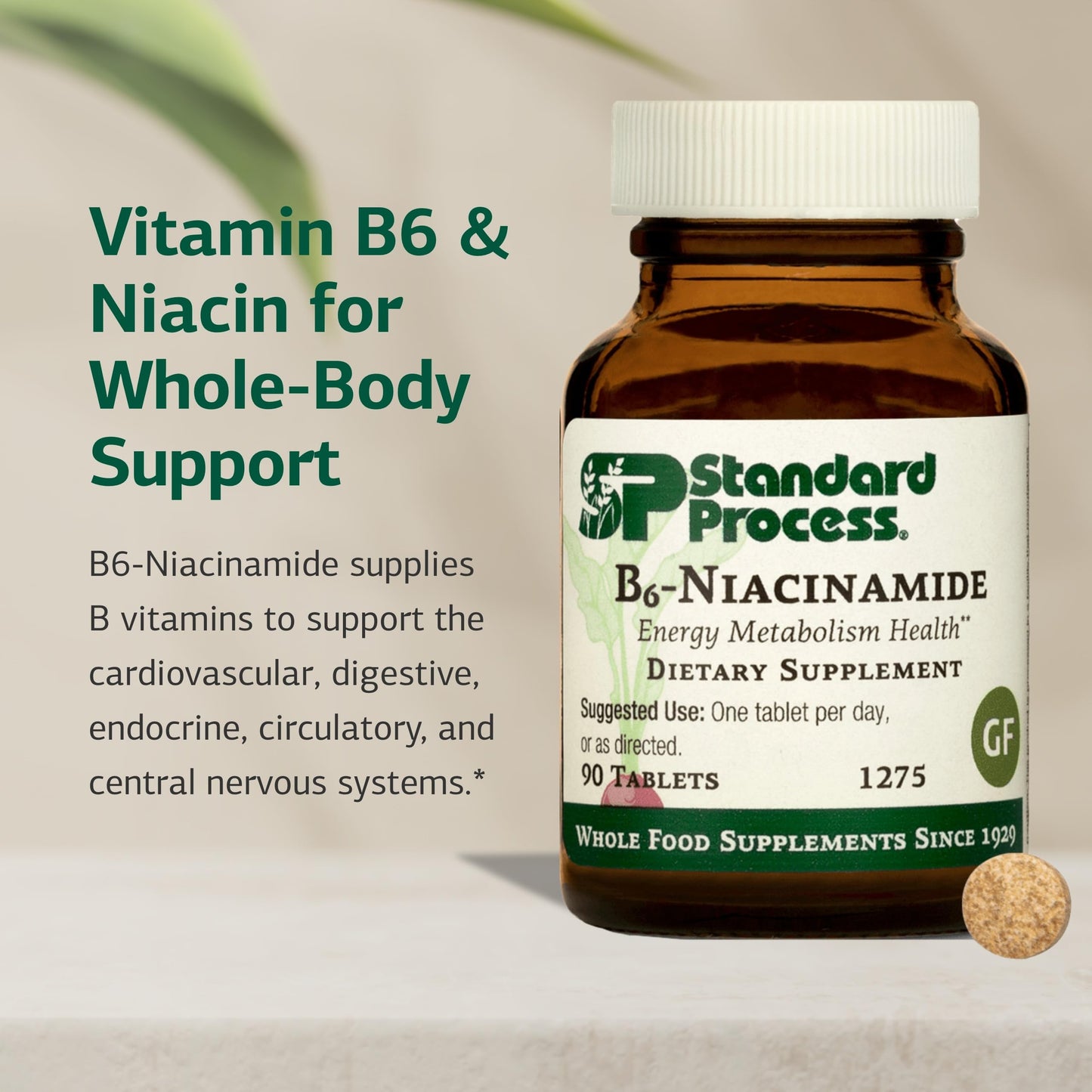 Standard Process B6-Niacinamide – Supports Energy Metabolism & Heart Health | Gluten-Free, Non-Dairy & Non-Soy – 90 Tablets