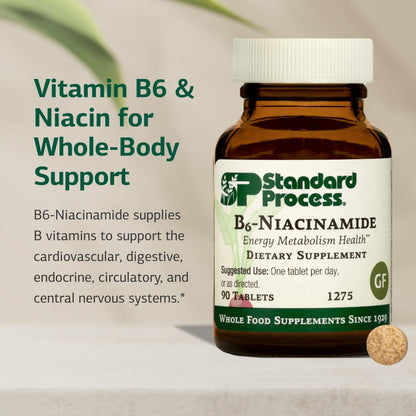 Standard Process B6-Niacinamide – Supports Energy Metabolism & Heart Health | Gluten-Free, Non-Dairy & Non-Soy – 90 Tablets