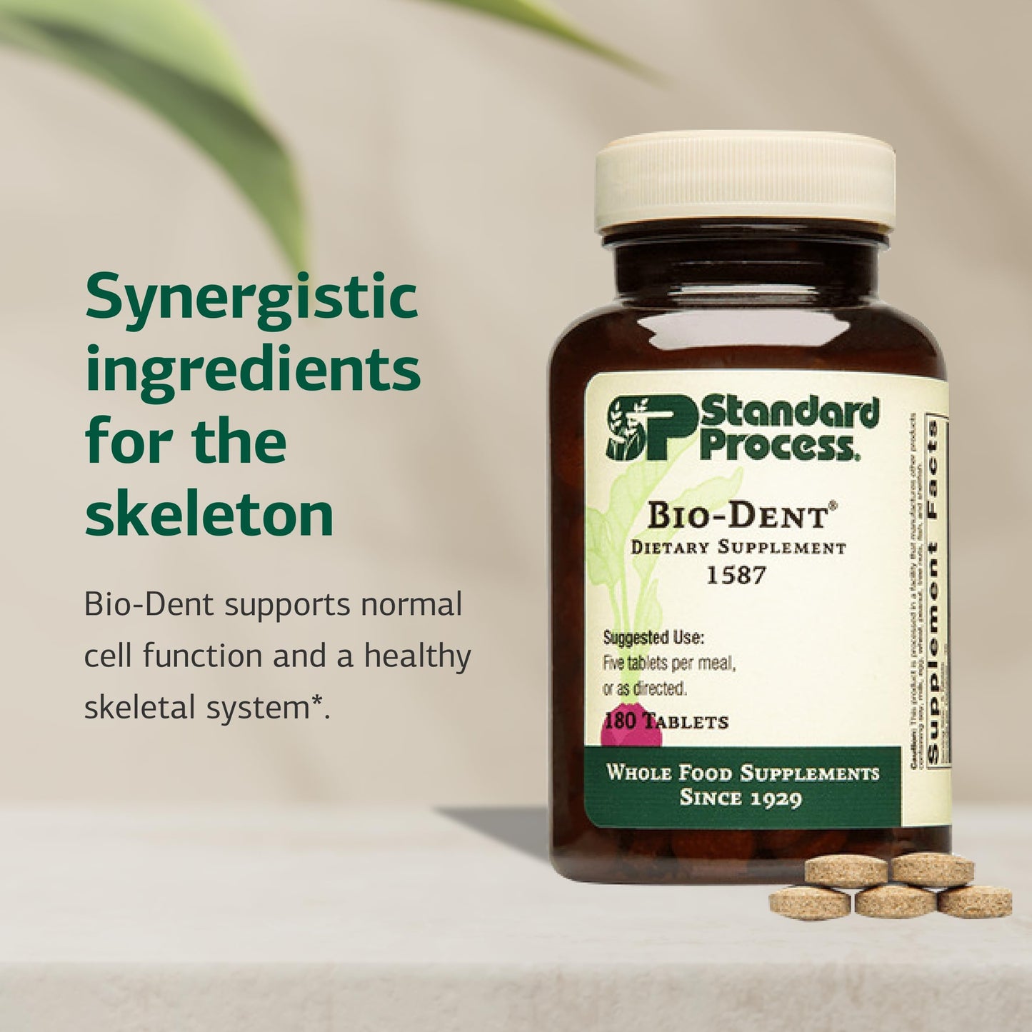 Standard Process Bio-Dent - Supports Bone & Muscle Health