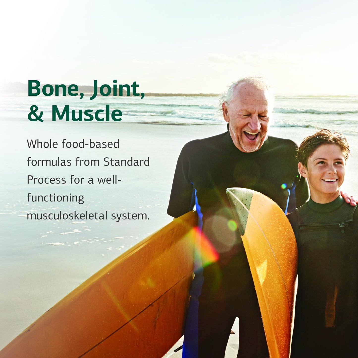 Standard Process Bio-Dent - Supports Bone & Muscle Health