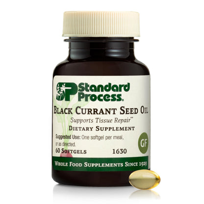 Black Currant Seed Oil by Standard Process – Supports Blood Flow, Immune Function & Tissue Health | Gluten-Free | 60 Softgels