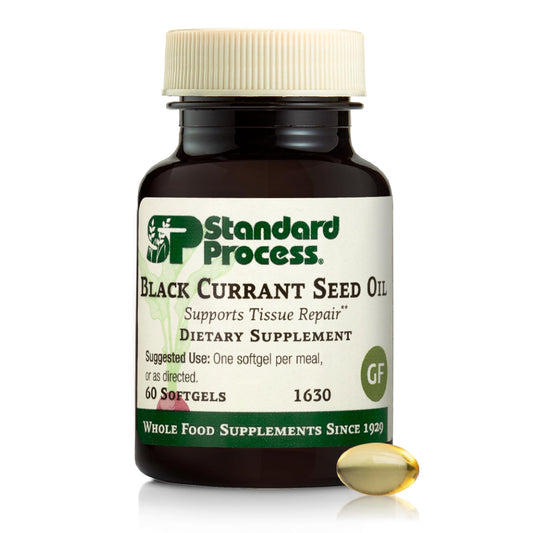 Black Currant Seed Oil by Standard Process – Supports Blood Flow, Immune Function & Tissue Health | Gluten-Free | 60 Softgels BritishVita | Premium UK Vitamins & Wellness Supplements
