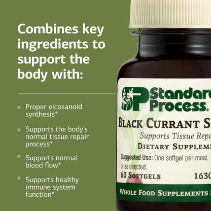 Black Currant Seed Oil by Standard Process – Supports Blood Flow, Immune Function & Tissue Health | Gluten-Free | 60 Softgels