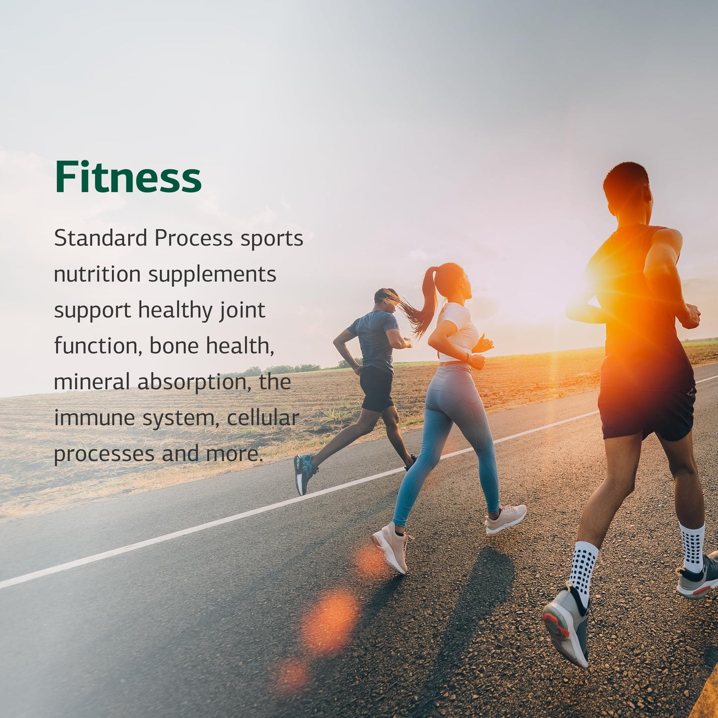 Cataplex E2 by Standard Process – Vitamin E & Selenium for Heart Health (90 Tablets)