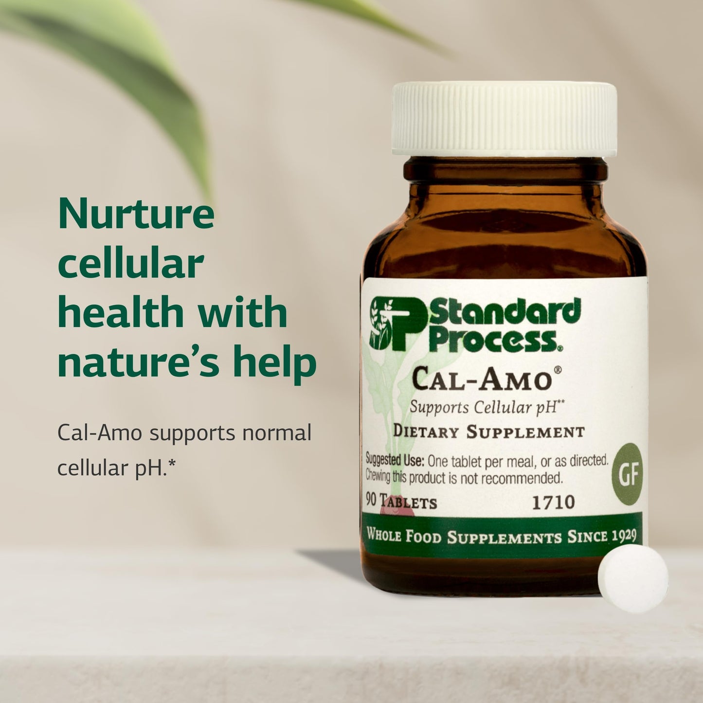 Standard Process Cal-Amo: Cellular Health & Lung Support, 90 Tablets