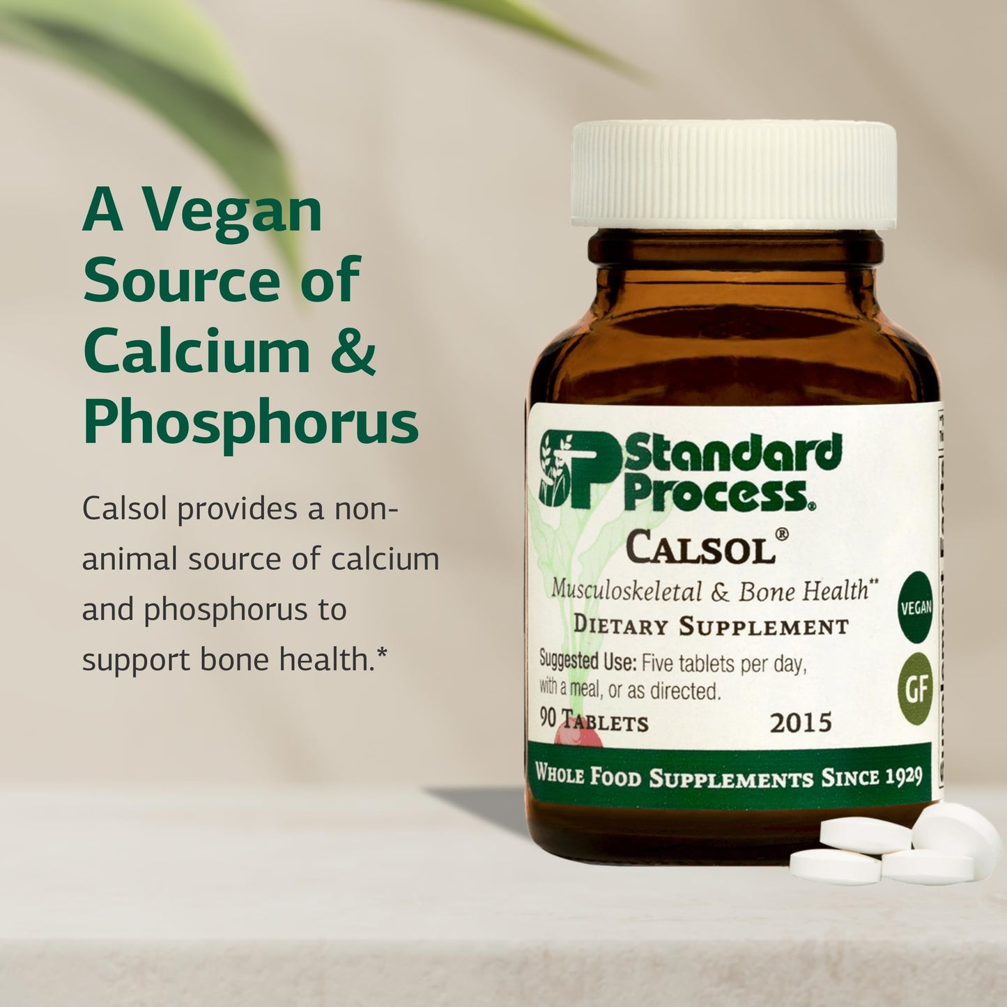 Standard Process Calsol – Musculoskeletal & Bone Health Supplement