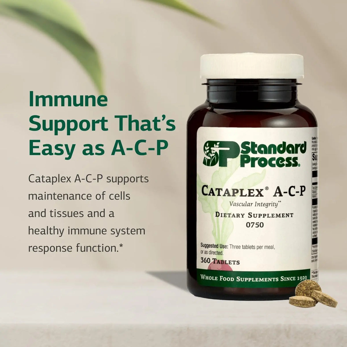 Standard Process Cataplex A-C-P: Healthy Cell & Tissue Support - 360 Tablets (120 Servings) - Non-Dairy & Non-Soy BritishVita | Premium UK Vitamins & Wellness Supplements