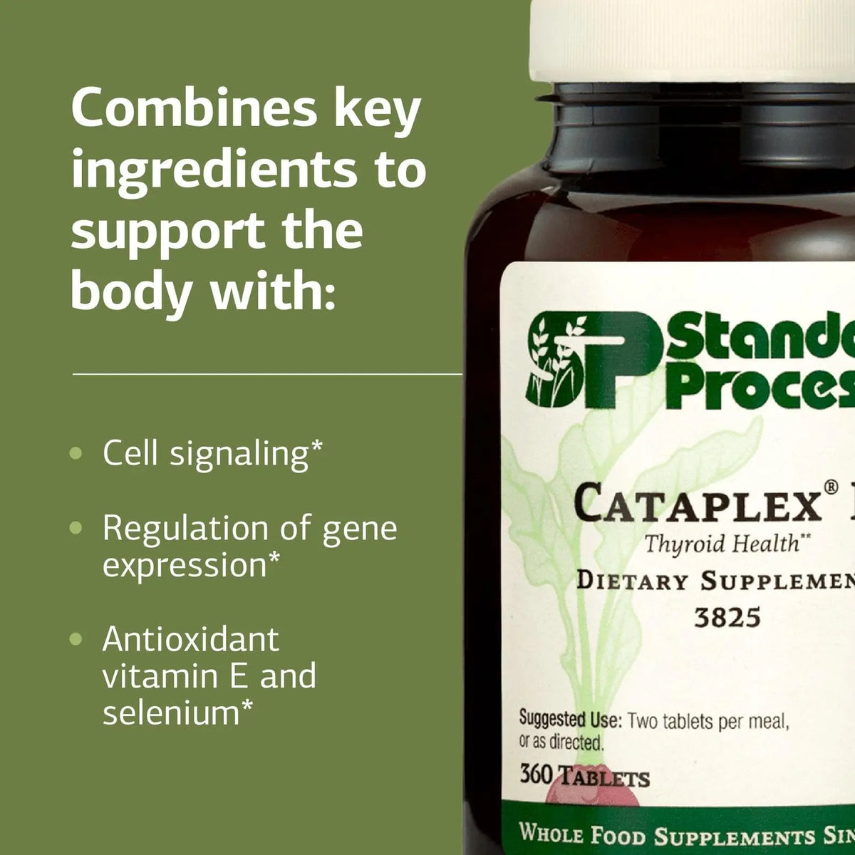 Cataplex E by Standard Process – Thyroid & Endocrine Health, Gluten-Free, 360 Tablets BritishVita | Premium UK Vitamins & Wellness Supplements