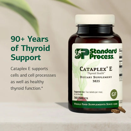 Cataplex E by Standard Process – Thyroid & Endocrine Health, Gluten-Free, 360 Tablets BritishVita | Premium UK Vitamins & Wellness Supplements