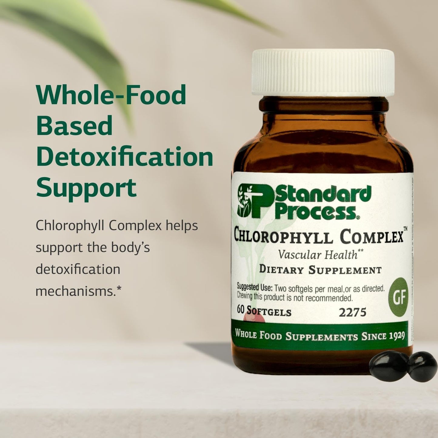 Standard Process Chlorophyll Complex – Immune Support, Antioxidant & Skin/Hair Health | 60 Softgels