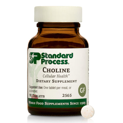 Standard Process Choline 180 mg – Supports Fat Metabolism, Liver & Nervous System Health | Gluten-Free, Non-Dairy & Vegetarian
