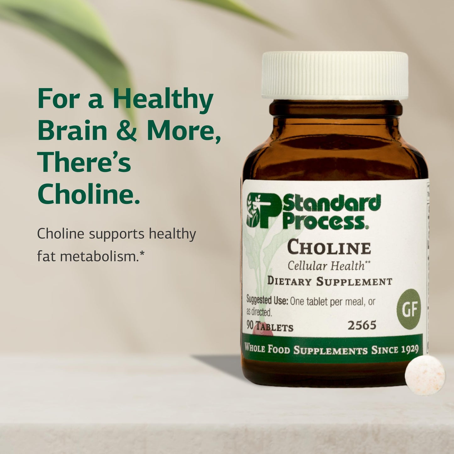 Standard Process Choline 180 mg – Supports Fat Metabolism, Liver & Nervous System Health | Gluten-Free, Non-Dairy & Vegetarian
