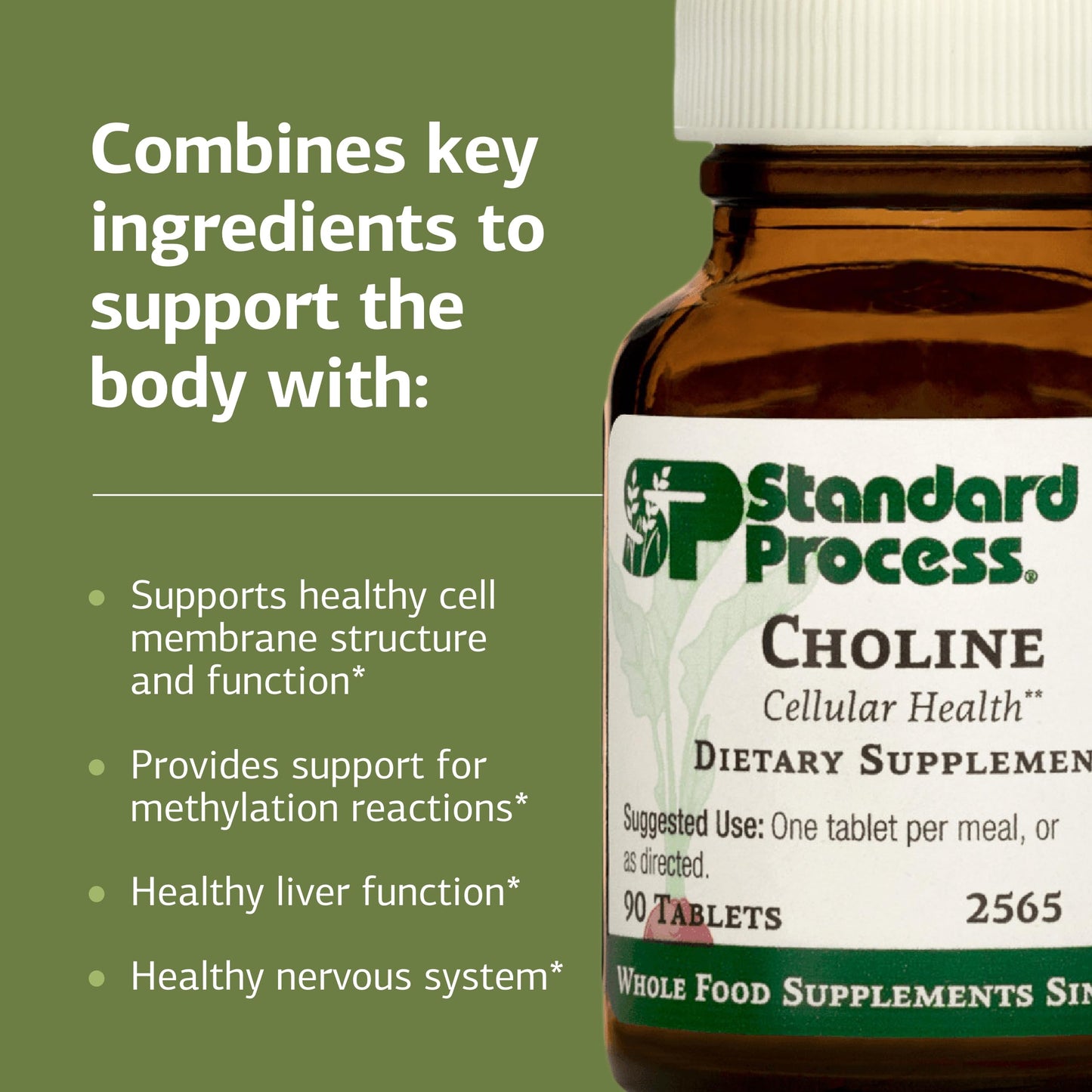 Standard Process Choline 180 mg – Supports Fat Metabolism, Liver & Nervous System Health | Gluten-Free, Non-Dairy & Vegetarian
