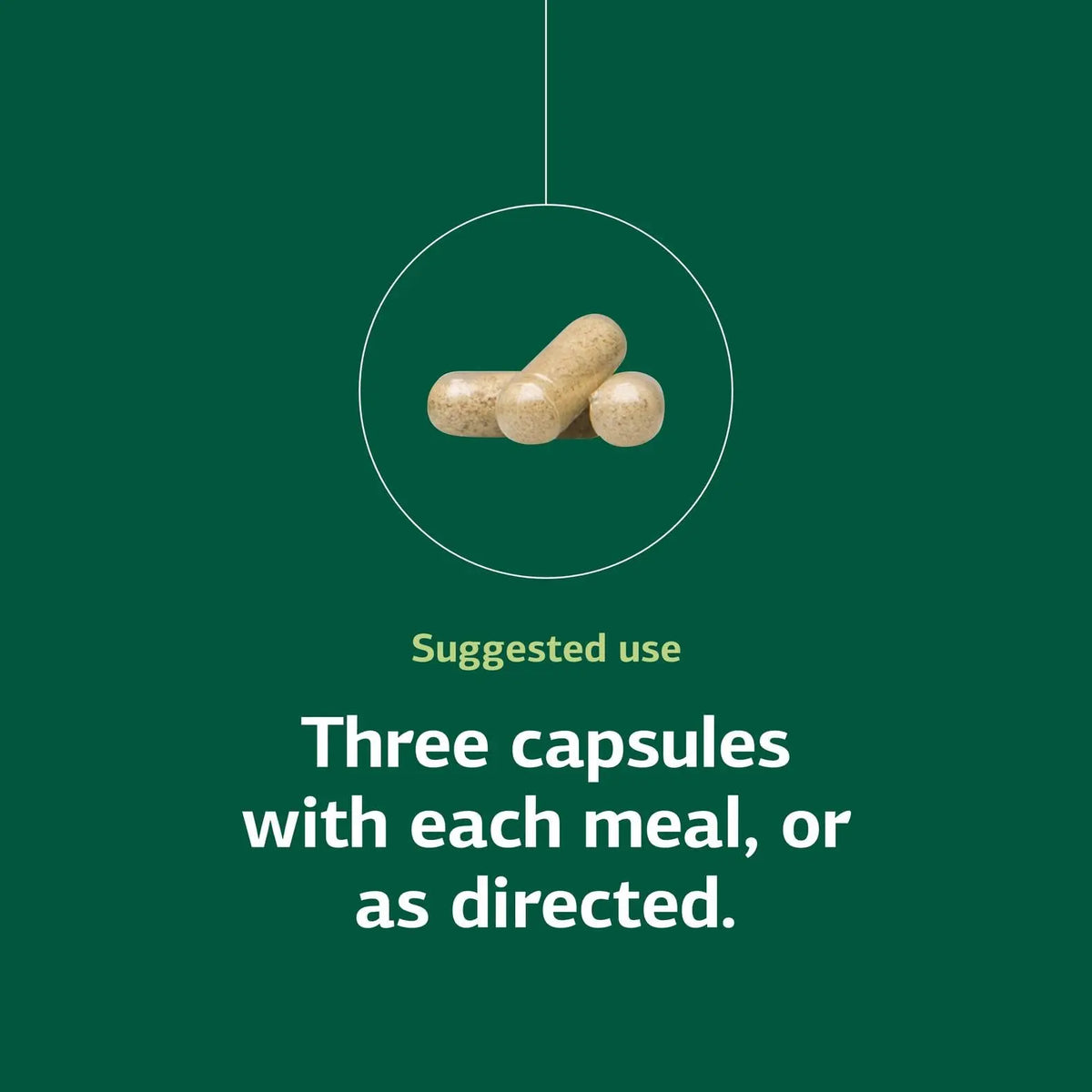 Congaplex Thymus Gland Support - Immune Health Capsule Supplement, 150 Capsules | Standard Process Inc. BritishVita | Premium UK Vitamins & Wellness Supplements