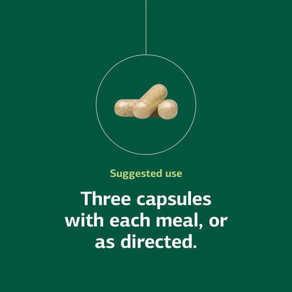 Congaplex Thymus Gland Support - Immune Health Capsule Supplement, 150 Capsules | Standard Process Inc. BritishVita | Premium UK Vitamins & Wellness Supplements