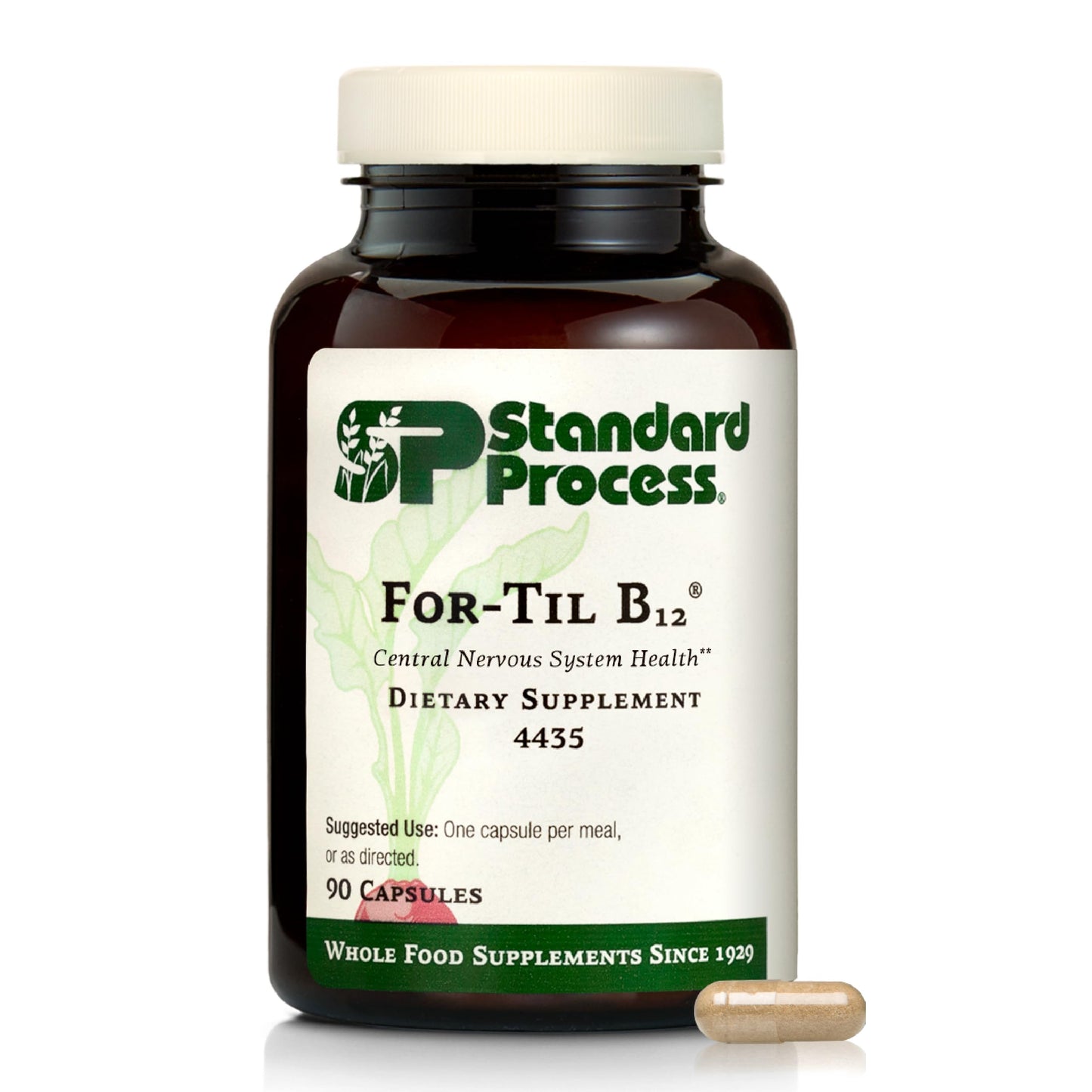 Standard Process for-Til B12 | Brain & Nervous System Support (90 Caps)
