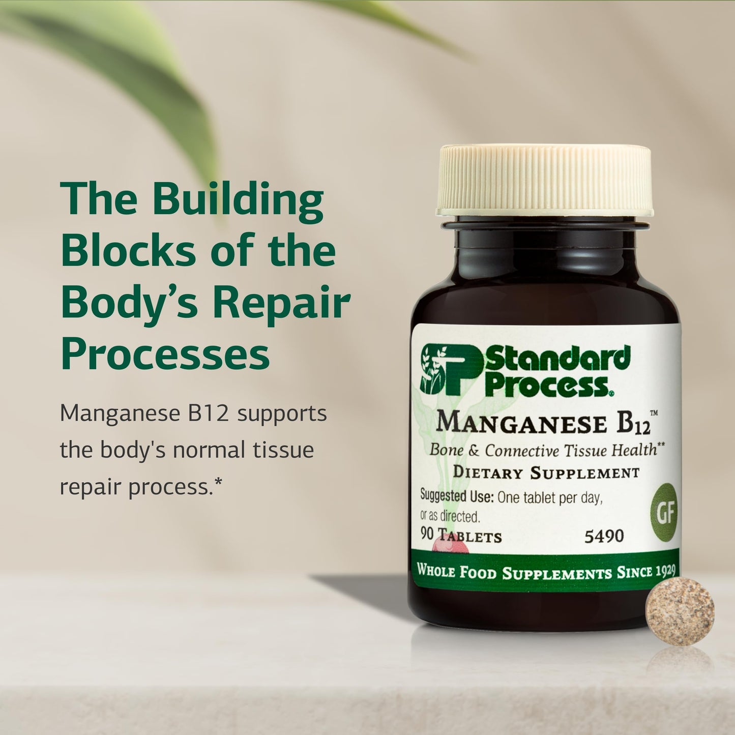 Standard Process Manganese B12 – Supports Bone & Connective Tissue Health, Hemoglobin Formation – Gluten-Free, Non-Dairy & Non-Soy | 90 Tablets
