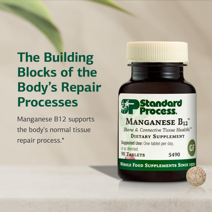 Standard Process Manganese B12 – Supports Bone & Connective Tissue Health, Hemoglobin Formation – Gluten-Free, Non-Dairy & Non-Soy | 90 Tablets