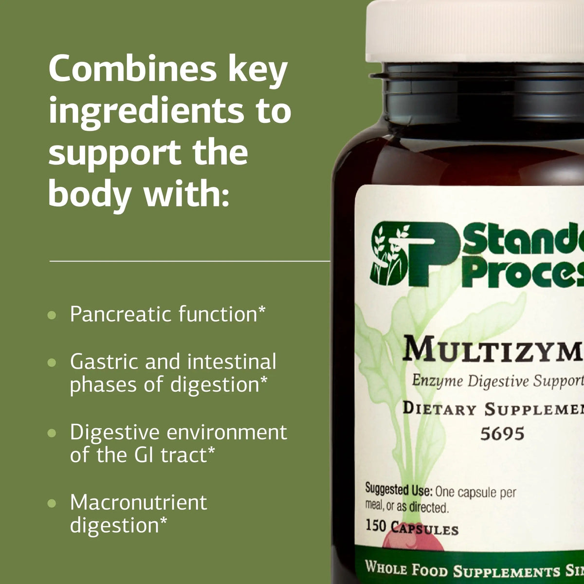 Standard Process Multizyme – Pancreatic Enzyme Support for Protein, Carbohydrate & Fat Digestion | Gluten-Free, Non-Dairy, Non-Soy | 150 Capsules BritishVita | Premium UK Vitamins & Wellness Supplements