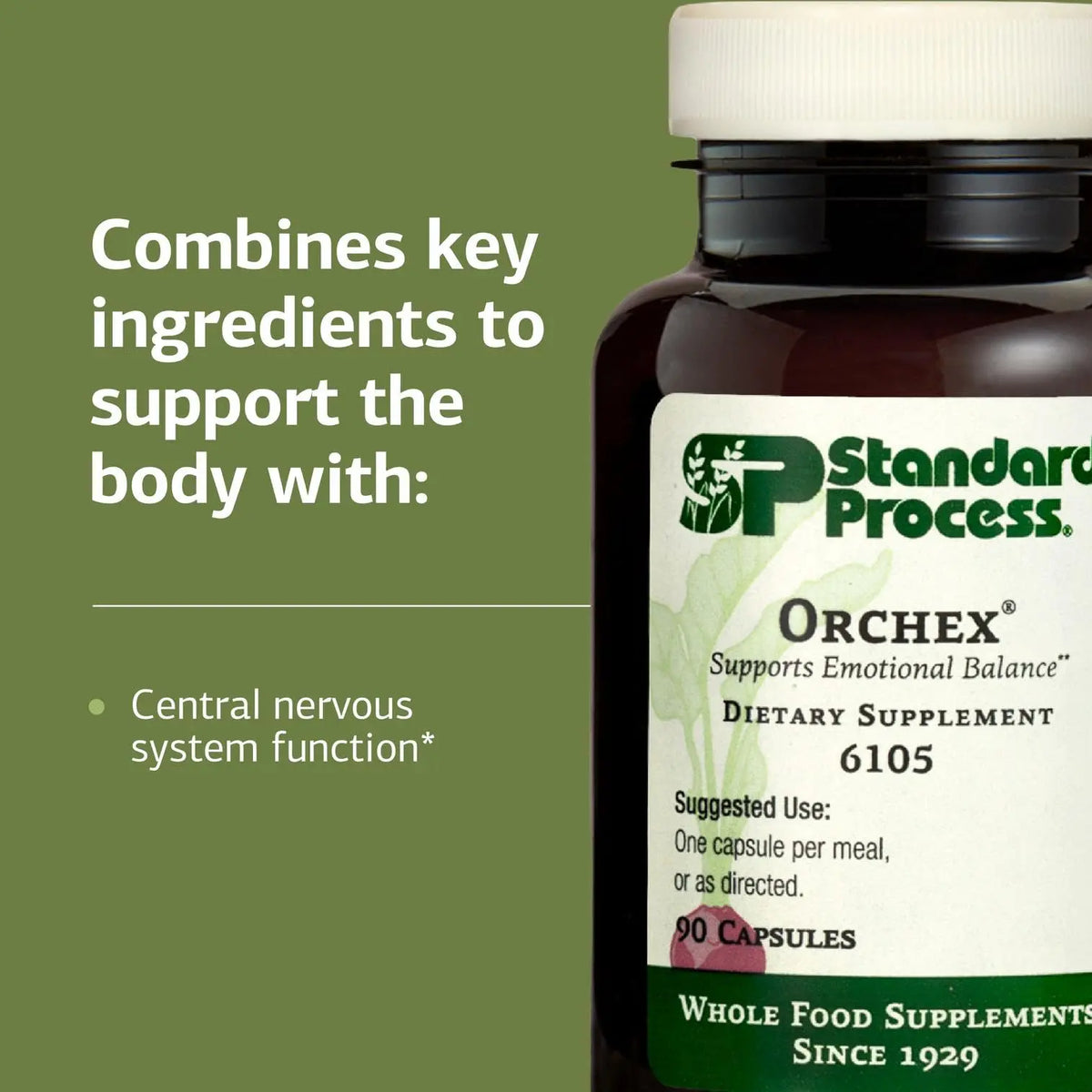 Standard Process Orchex - Whole-Food Nervous System Support, Mental Clarity & Stress Adaptability | 90 Capsules BritishVita | Premium UK Vitamins & Wellness Supplements