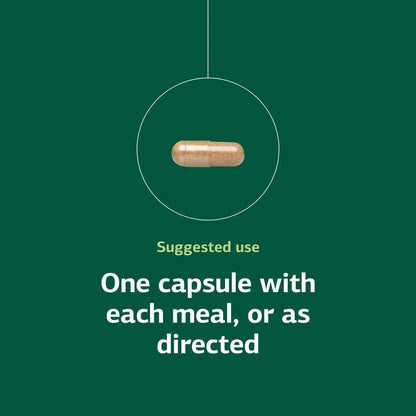 Standard Process Orchex - Whole-Food Nervous System Support, Mental Clarity & Stress Adaptability | 90 Capsules BritishVita | Premium UK Vitamins & Wellness Supplements