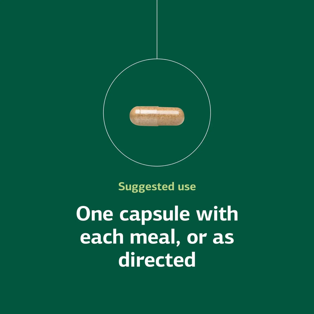 Standard Process Orchex - Whole-Food Nervous System Support, Mental Clarity & Stress Adaptability | 90 Capsules BritishVita | Premium UK Vitamins & Wellness Supplements