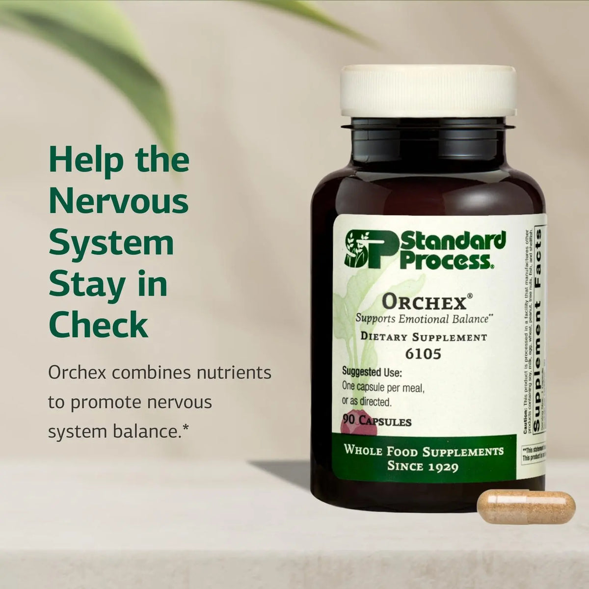 Standard Process Orchex - Whole-Food Nervous System Support, Mental Clarity & Stress Adaptability | 90 Capsules BritishVita | Premium UK Vitamins & Wellness Supplements