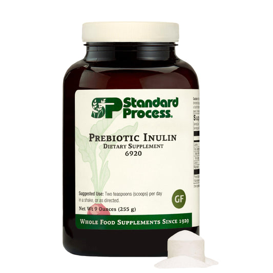 Standard Process Prebiotic Inulin – Gut Health & Immune Support BritishVita | Premium UK Vitamins & Wellness Supplements