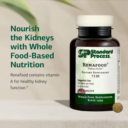 Standard Process Renafood - Kidney Support with Vitamin A, Non-Soy, 180 Tablets BritishVita | Premium UK Vitamins & Wellness Supplements