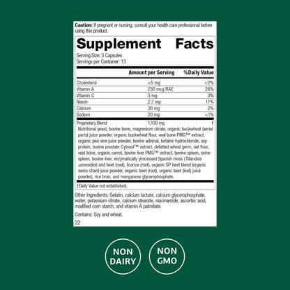 Standard Process Rumaplex – Healthy Liver Support Supplement | Vitamin A & Niacin | 40 Capsules