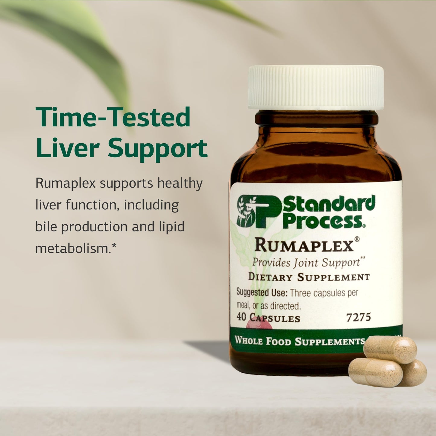 Standard Process Rumaplex – Healthy Liver Support Supplement | Vitamin A & Niacin | 40 Capsules