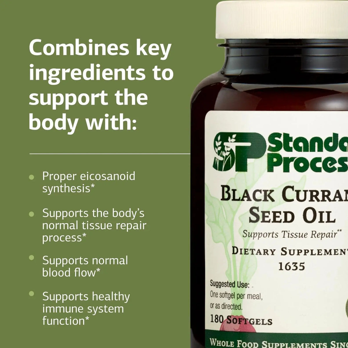 Standard Process Black Currant Seed Oil Dietary Supplement – Gluten-Free Immune & Tissue Support | 180 Softgels BritishVita | Premium UK Vitamins & Wellness Supplements