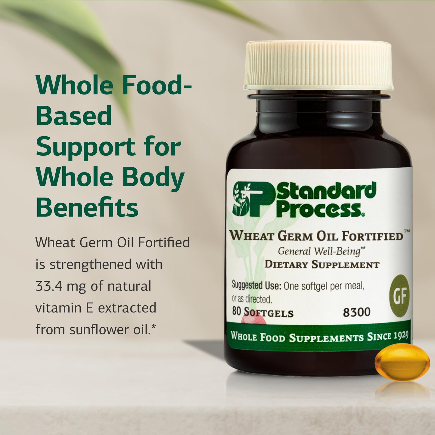 Standard Process Wheat Germ Oil Fortified - Immune Support & Antioxidant Vitamin E | 80 Softgels